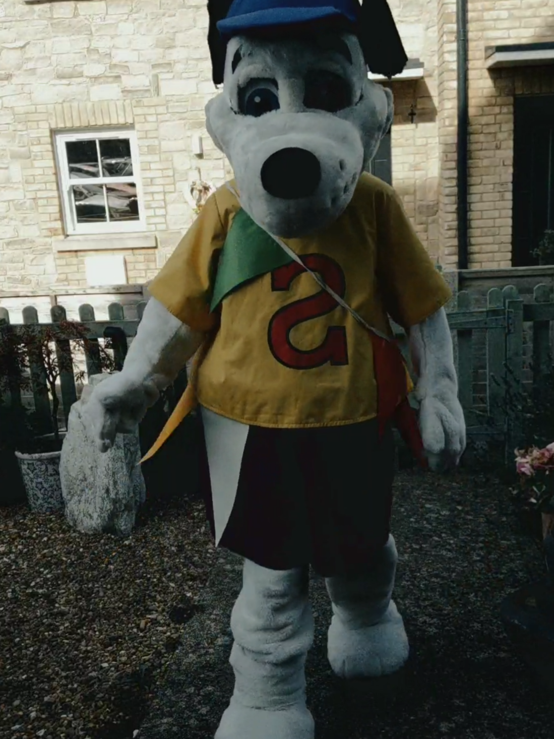 @Mascot Dan