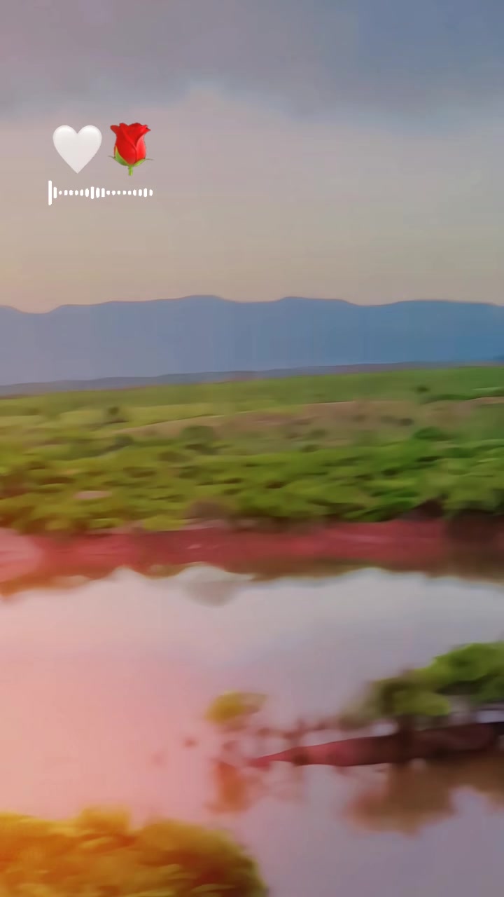 @MAHAZ_AFRIDI❤