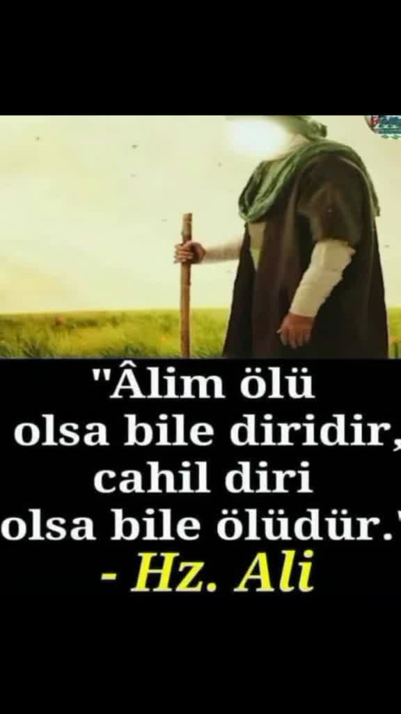 @acı hayat