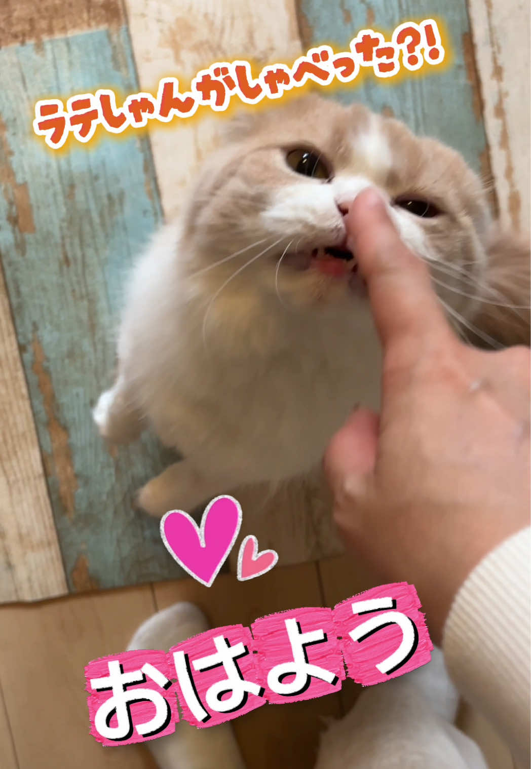 @くるラテ