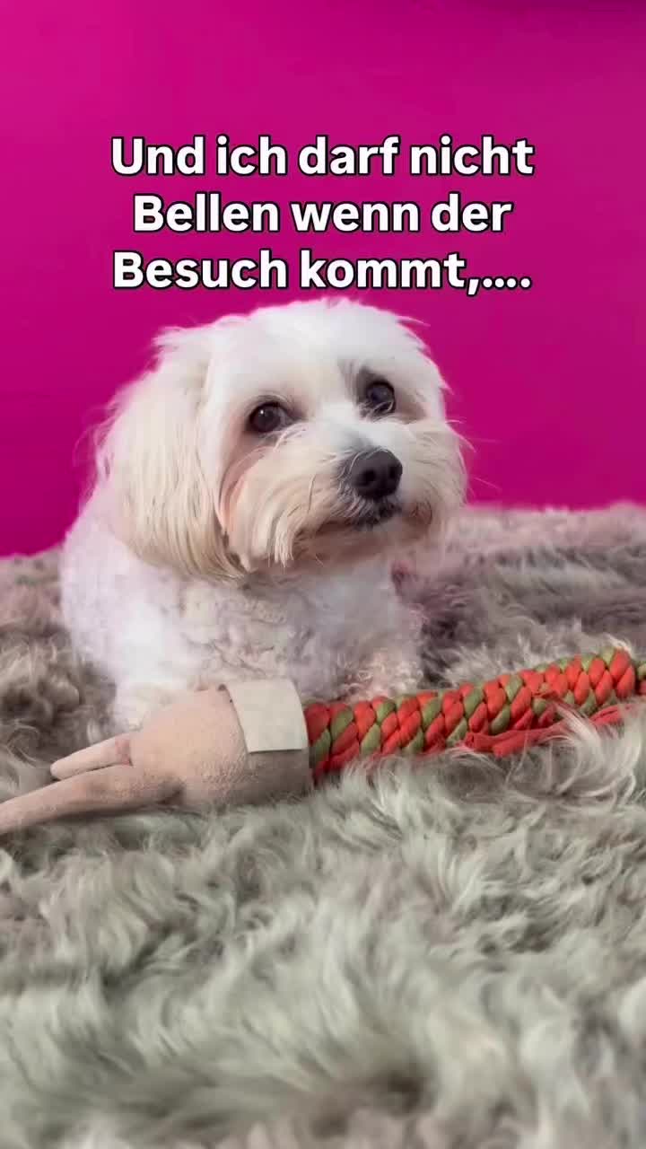 @Joerg