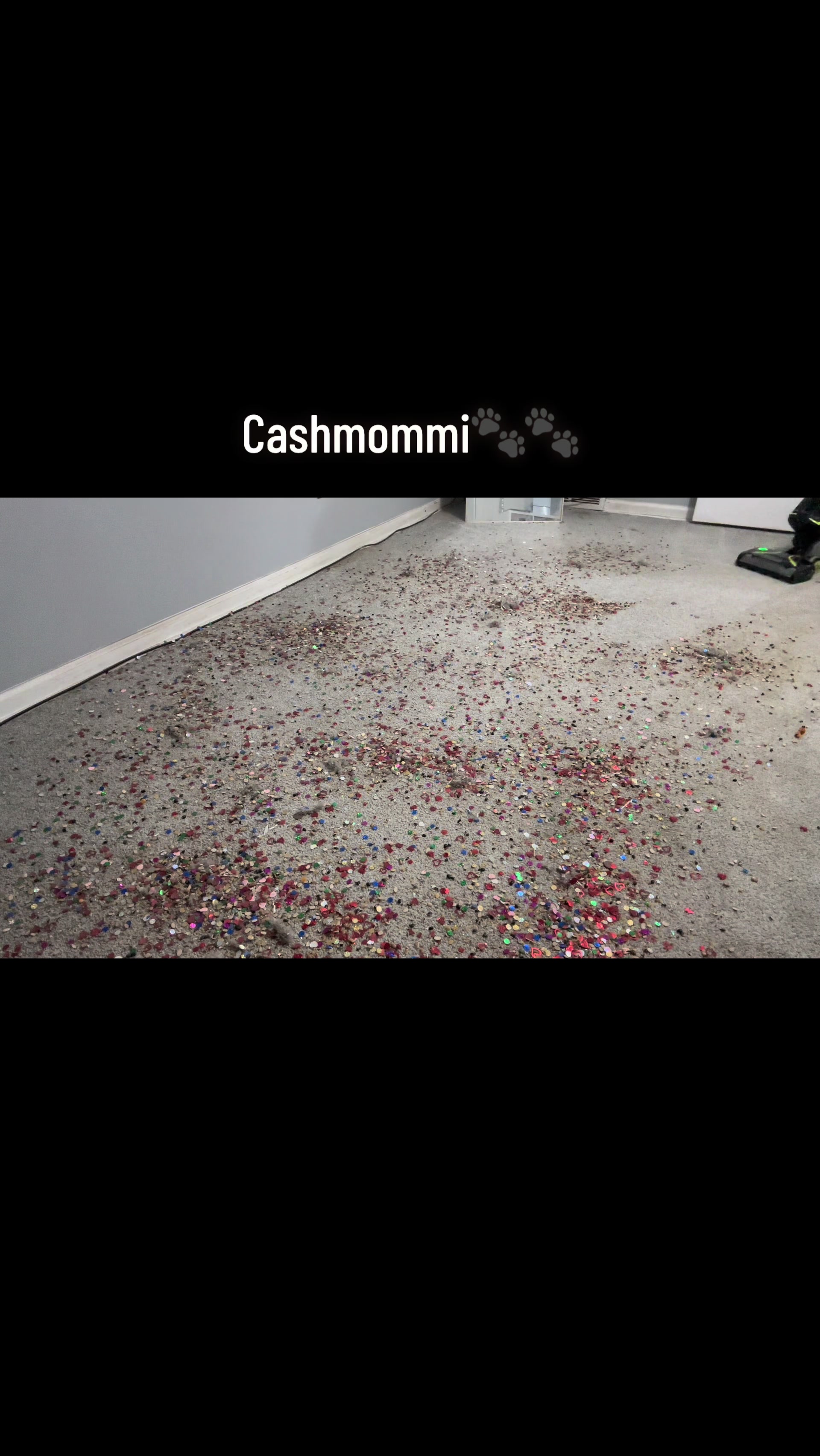 @CashmommiVacs