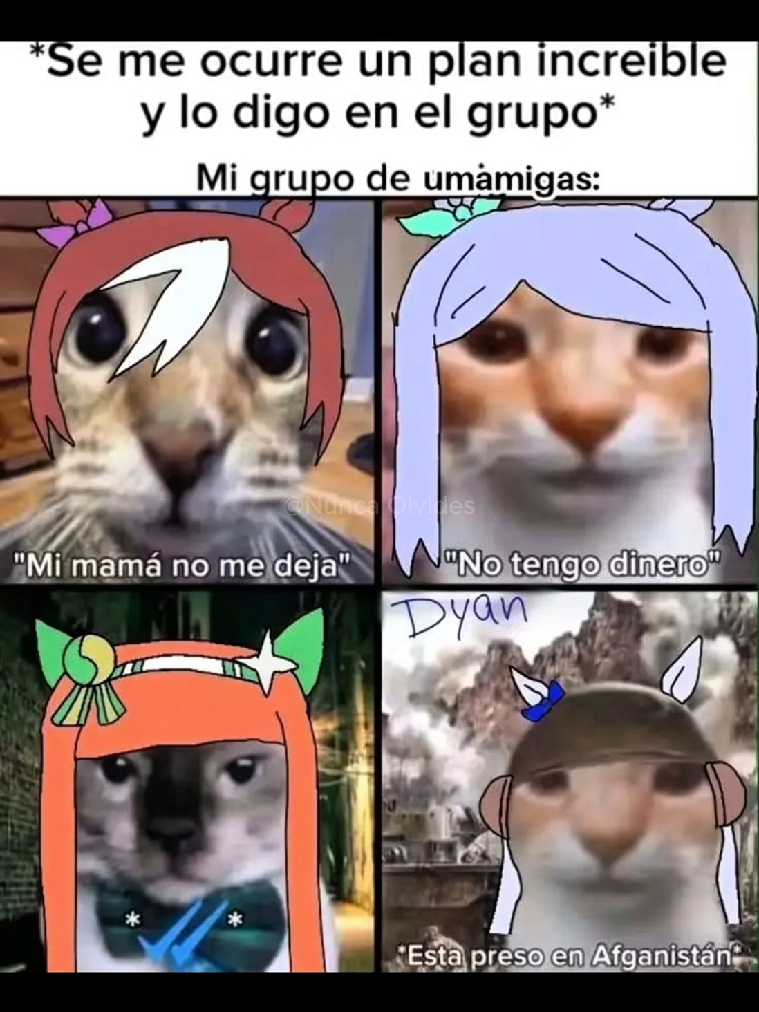 @Nunca Olvides ꛕͲ