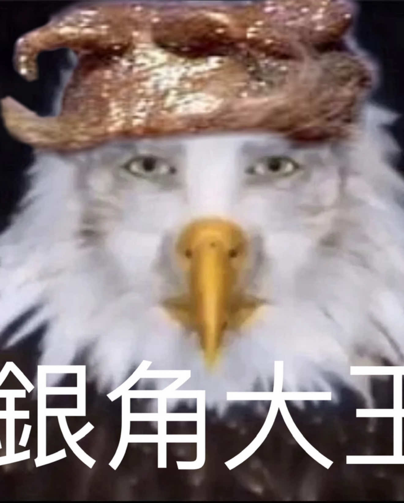 @ʟɪʟʟʏ // 二郎神 version