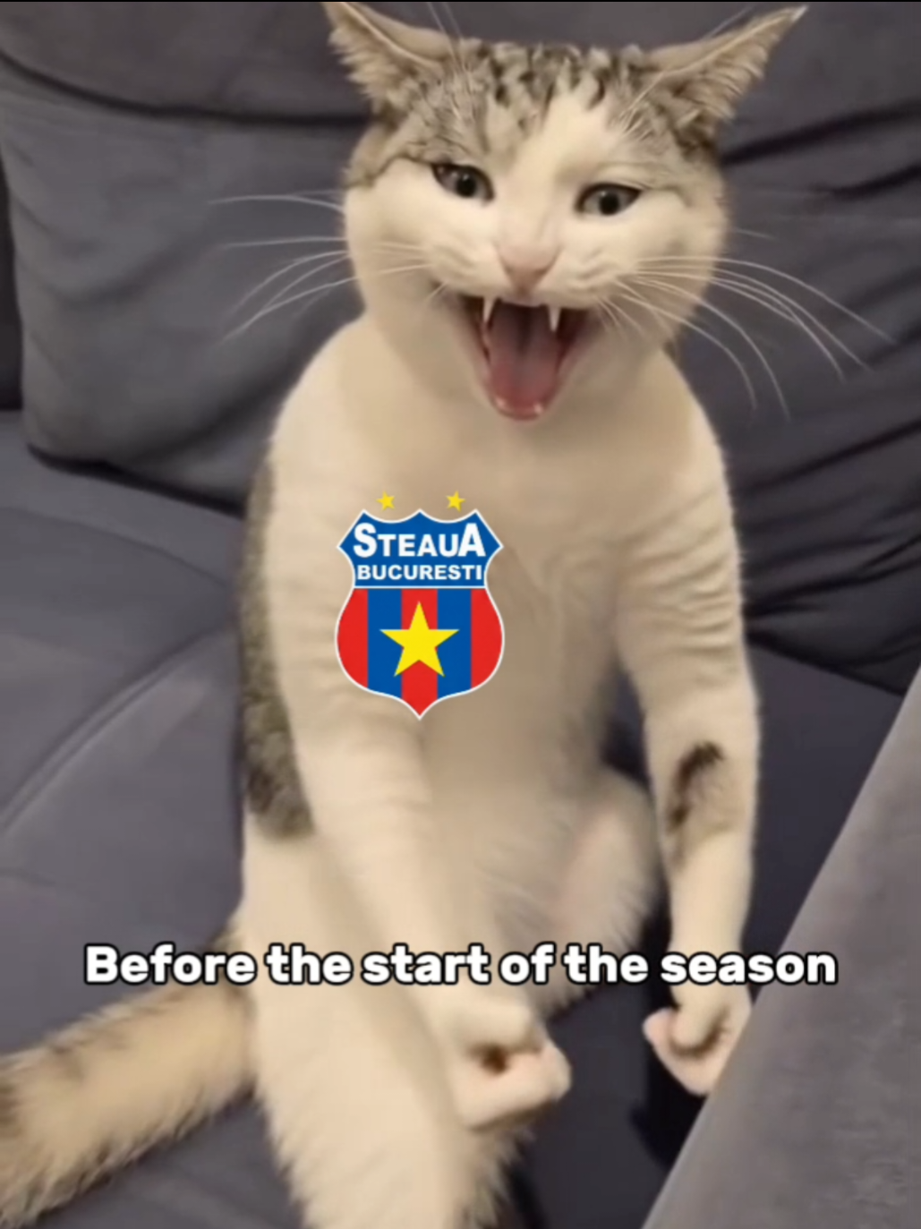 @Steaua București