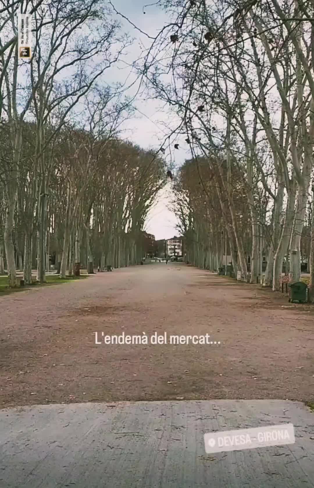 @Pere Cat