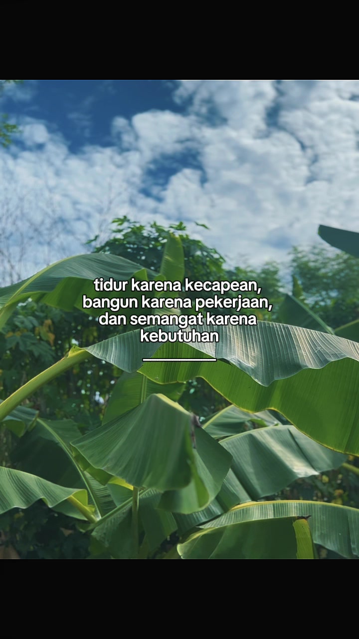 @INTROVERT
