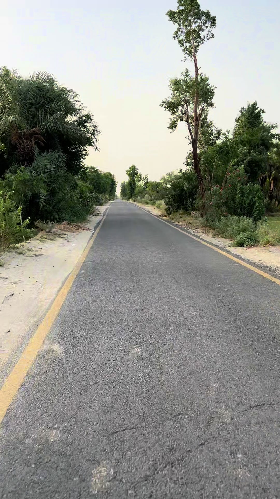 @شیرگڑھ تھل💫