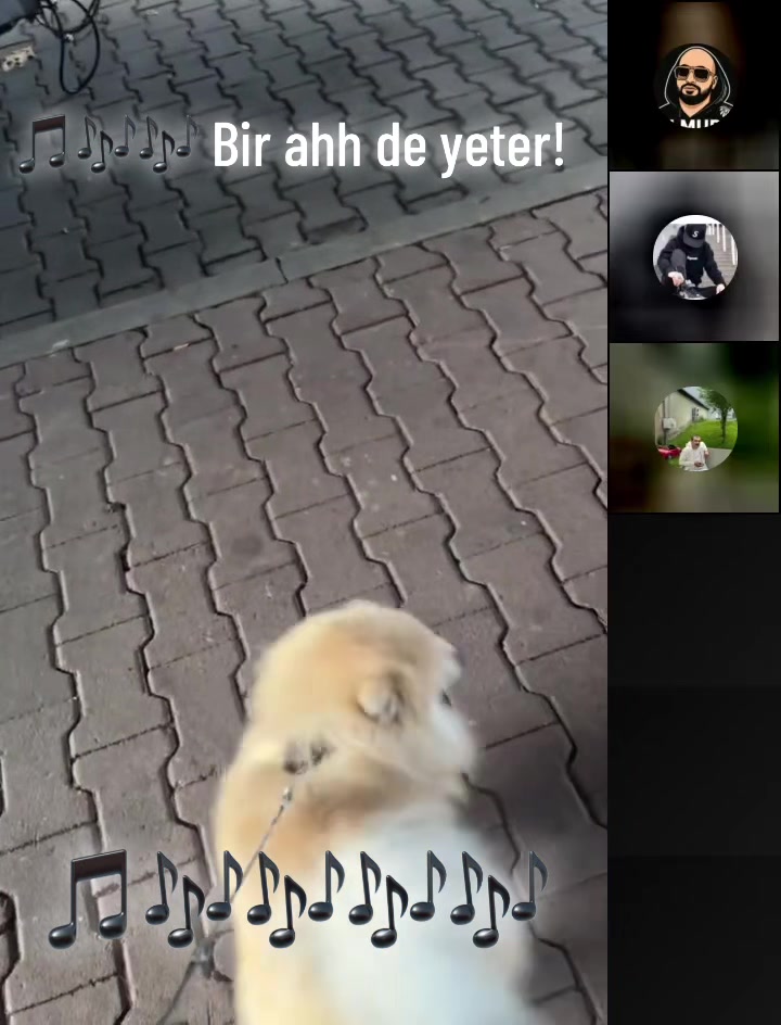 @• Meri Leo •