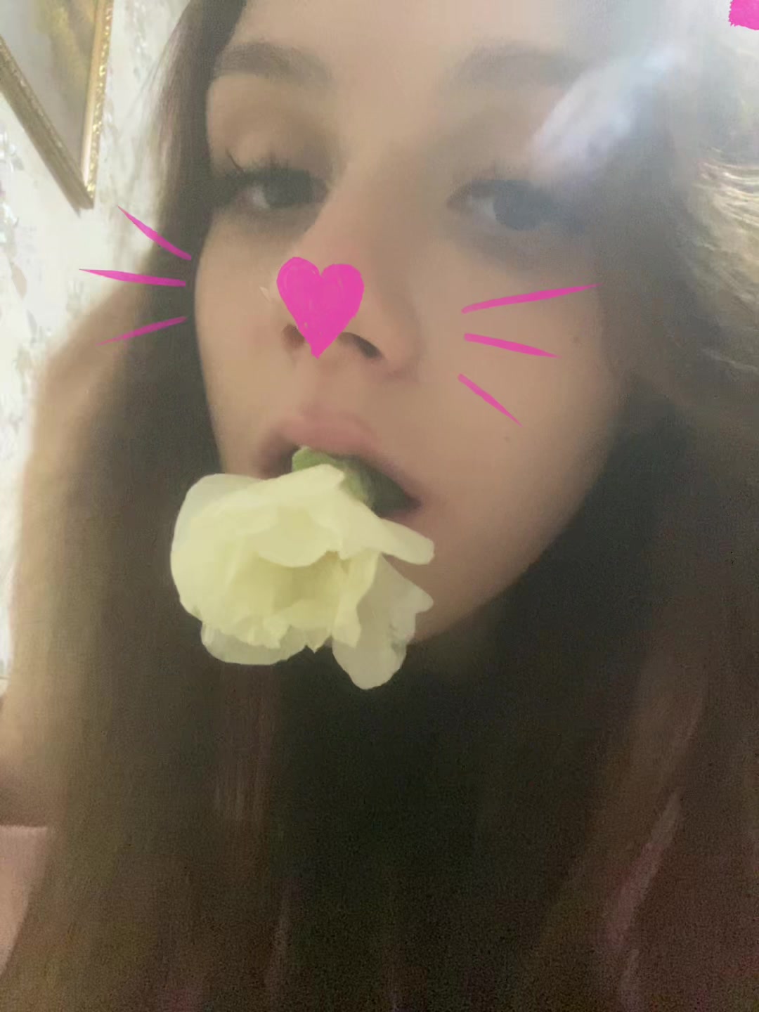 @alssmuuq