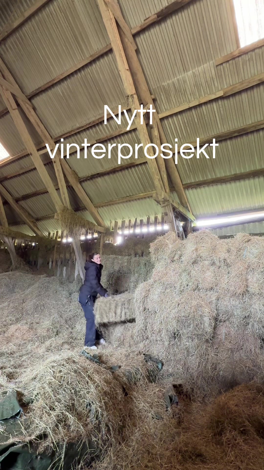@Bjørg Risa