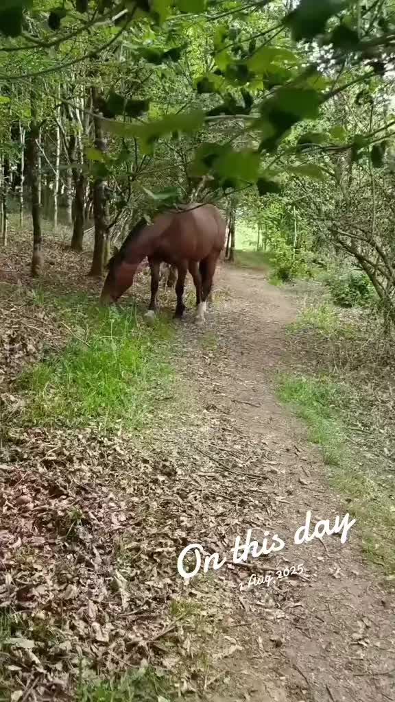 @fieldsforevere42