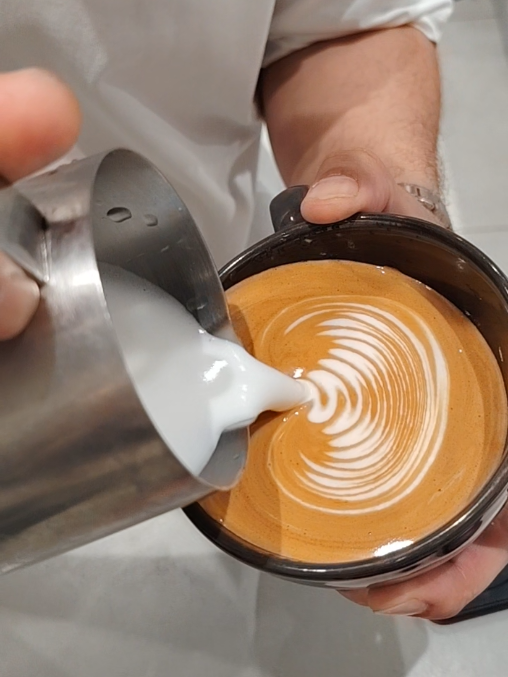 @barista_rapido