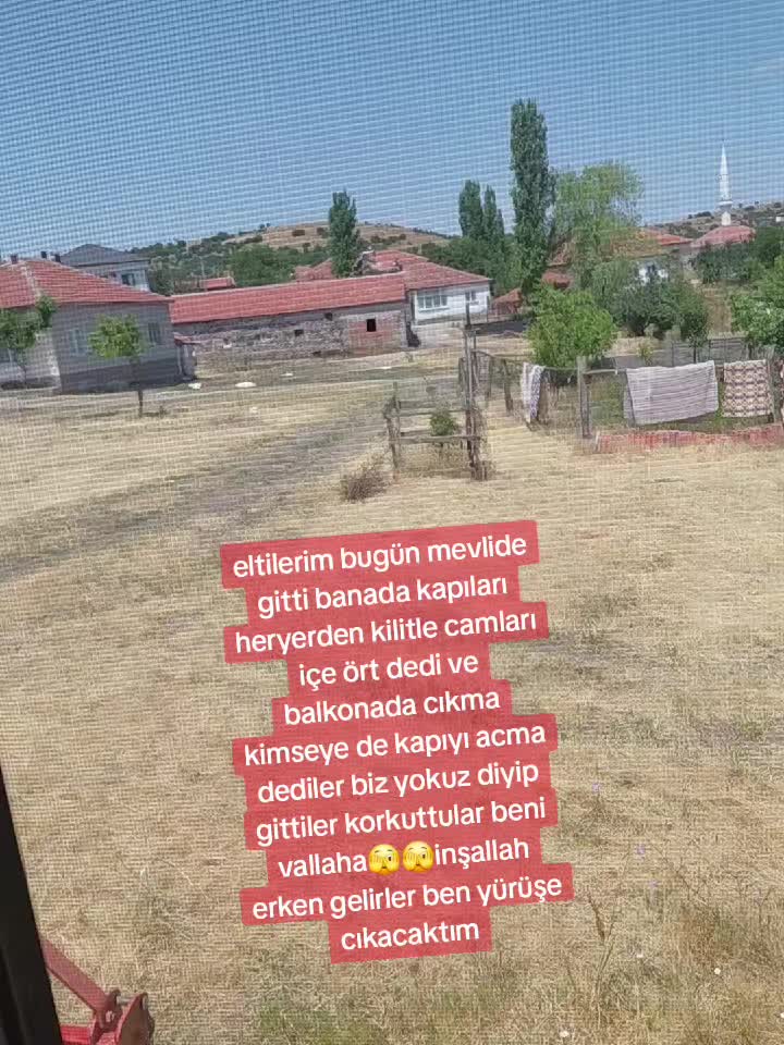 @0660575445773344234