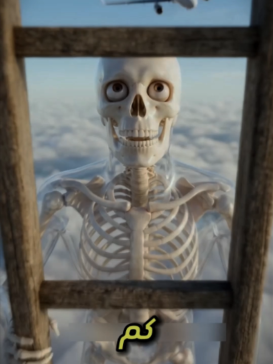 @skeleton adventures