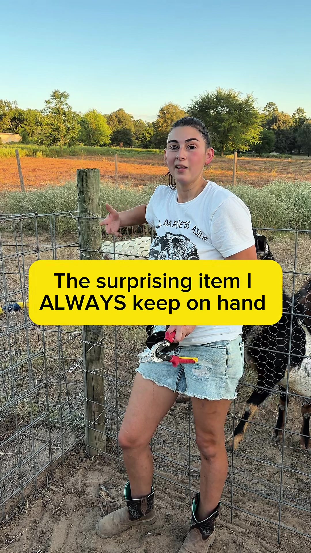 @Heart & Hoof Homestead
