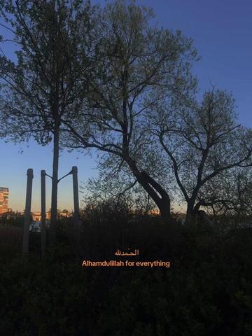 @خَـدِيجة🎀