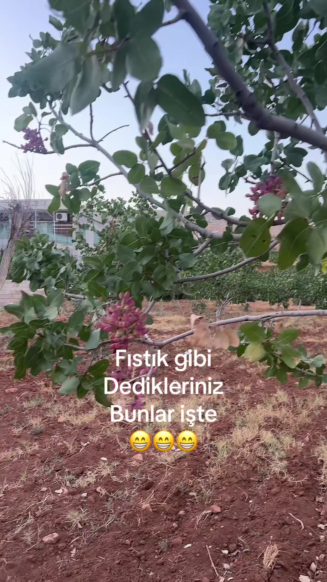 @By deniz 3509