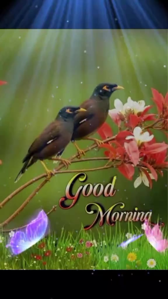 @vijaya laxmi