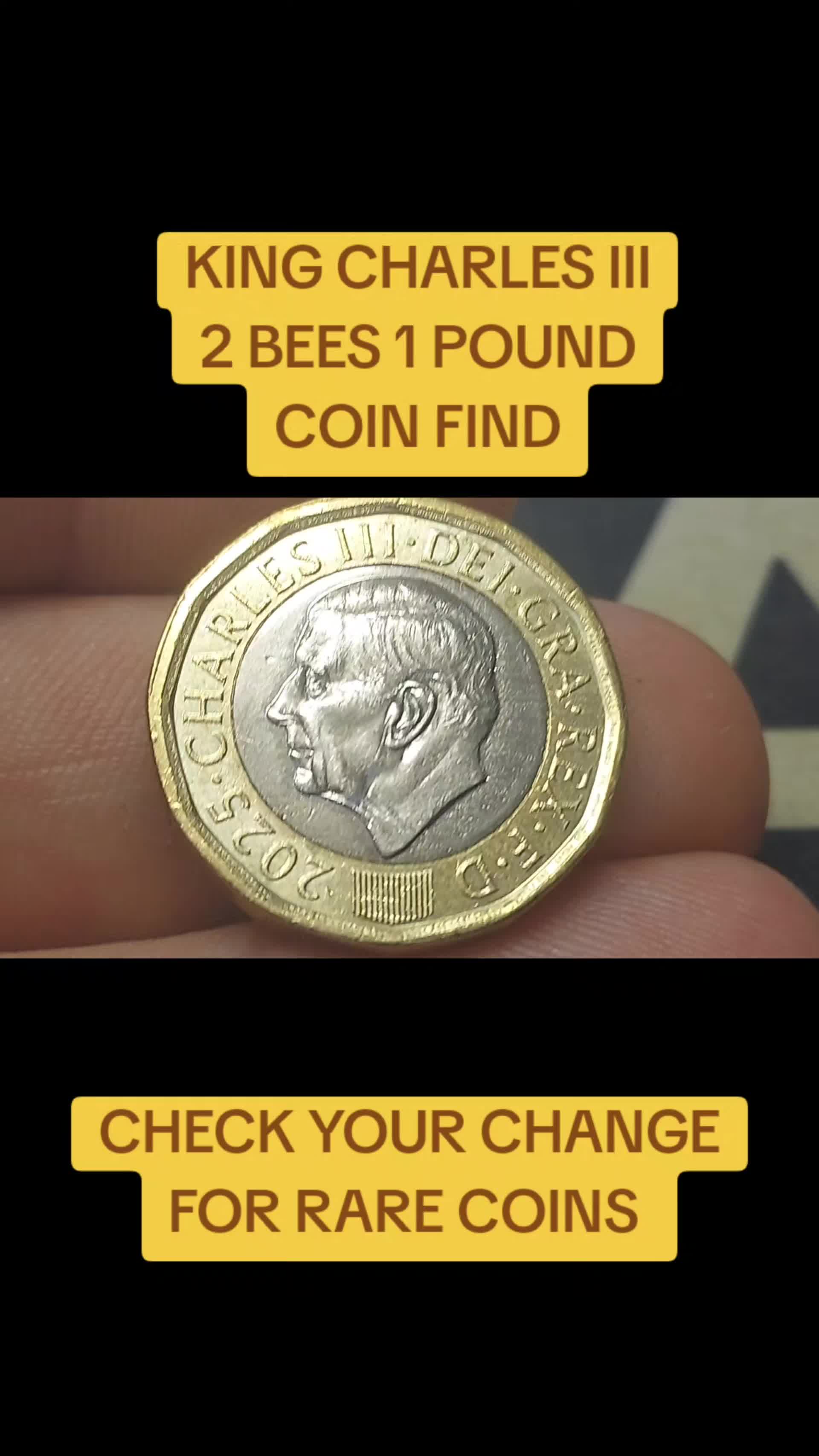 @DANS DOLLARS