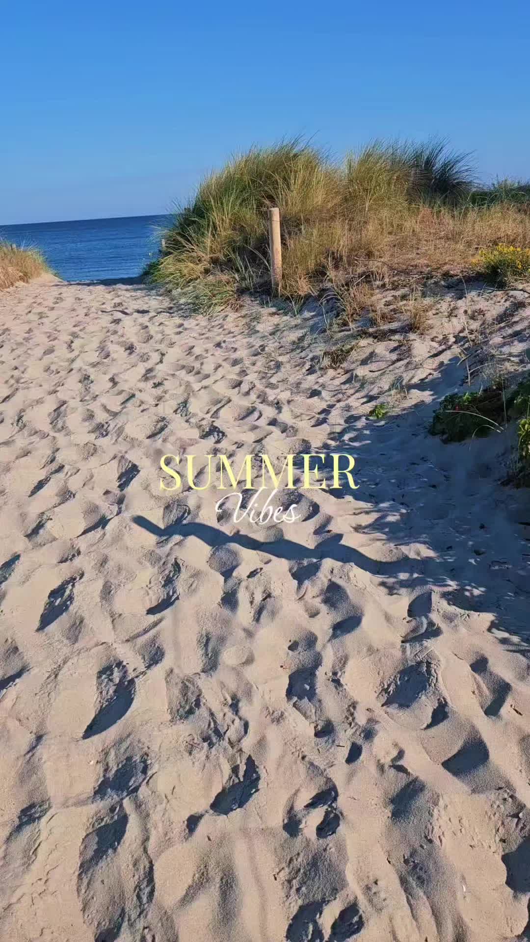 @Jasmine1003