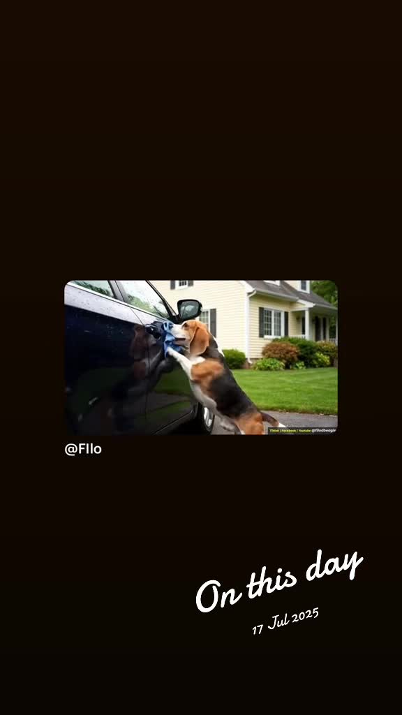 @Neo_The_Beagle