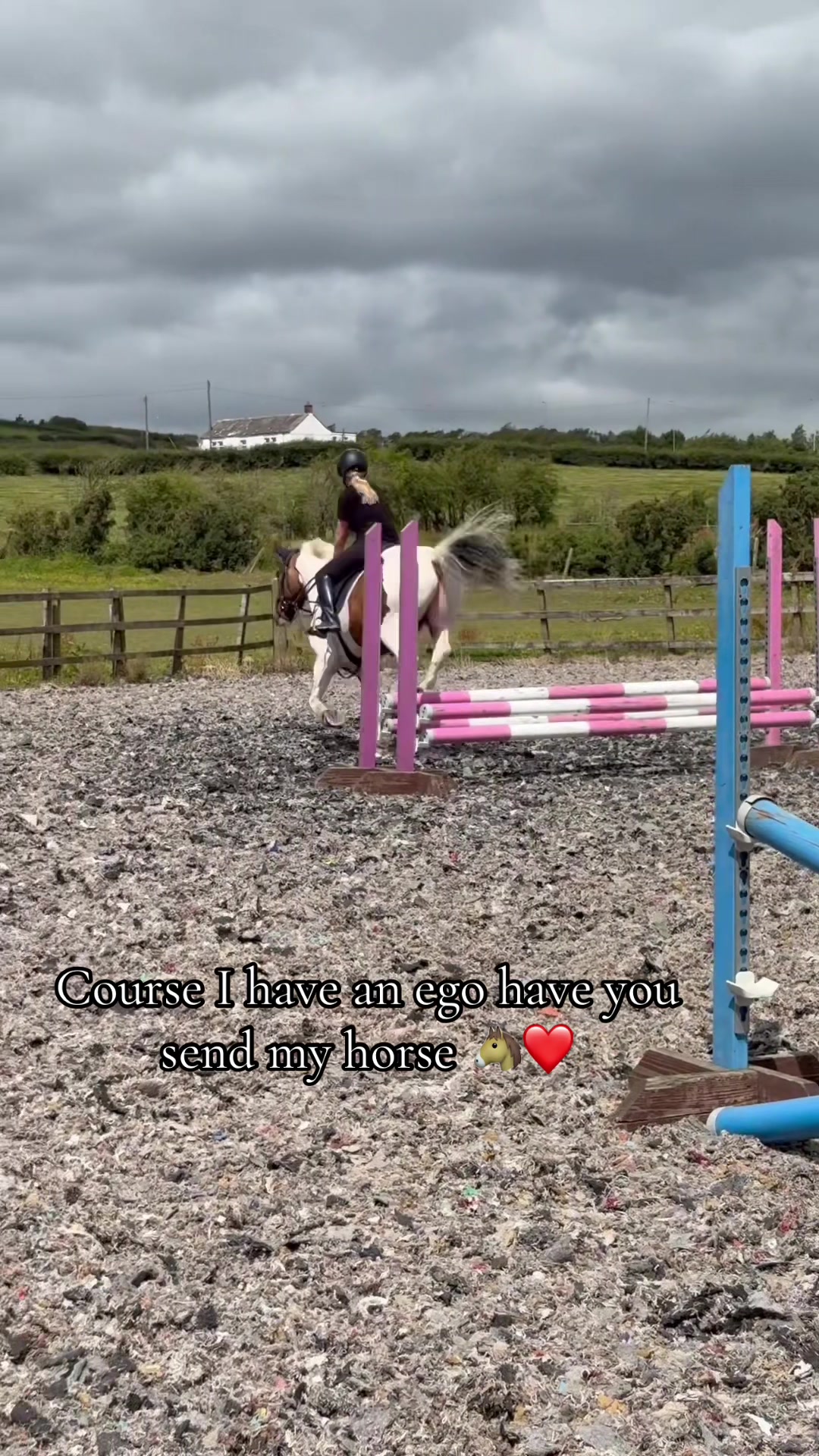 @Lilywiththecobs🐴