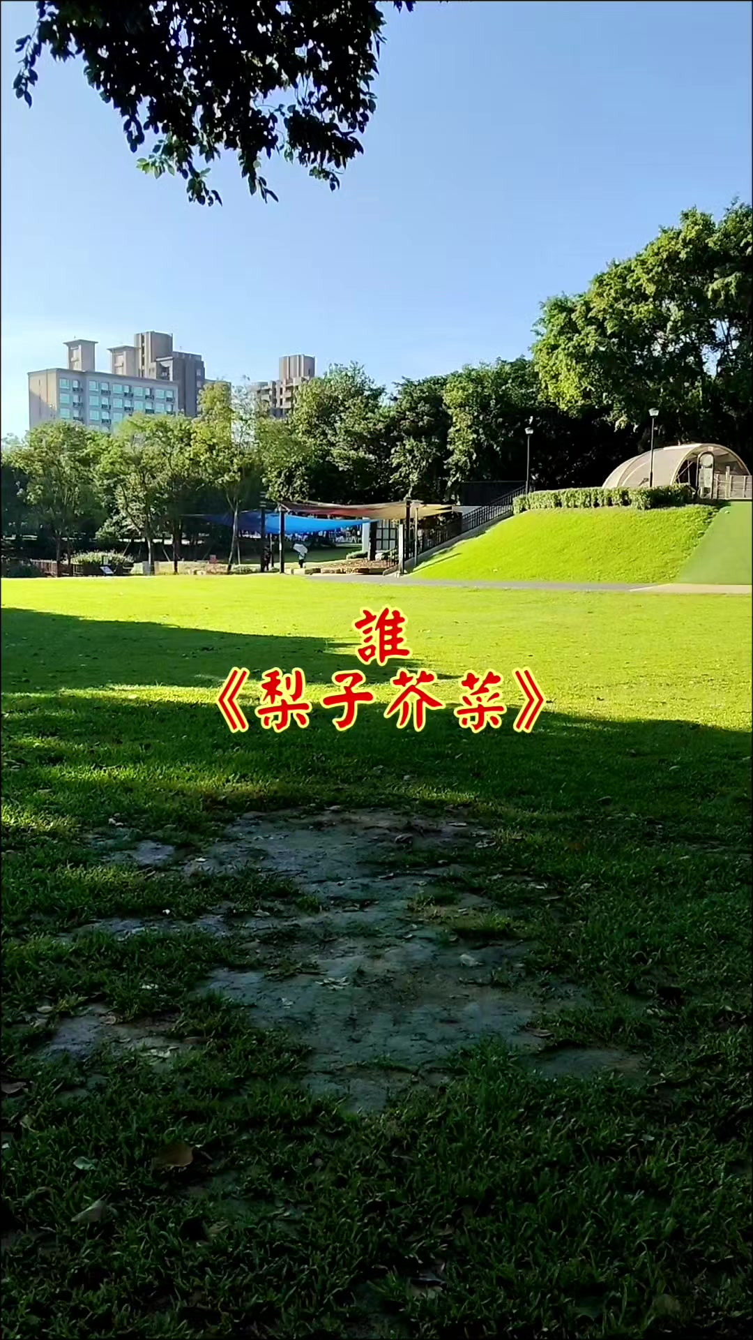 @雞不叫也天亮