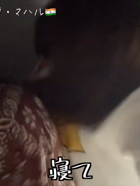 @user6660094969926