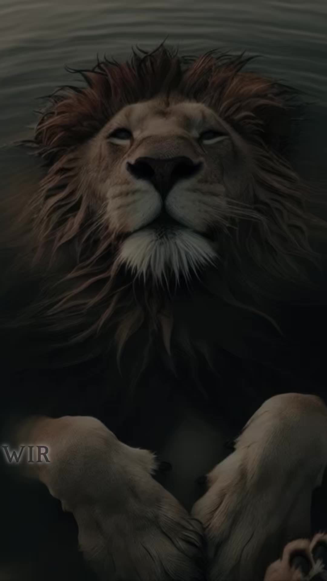 @Löwen_Dad