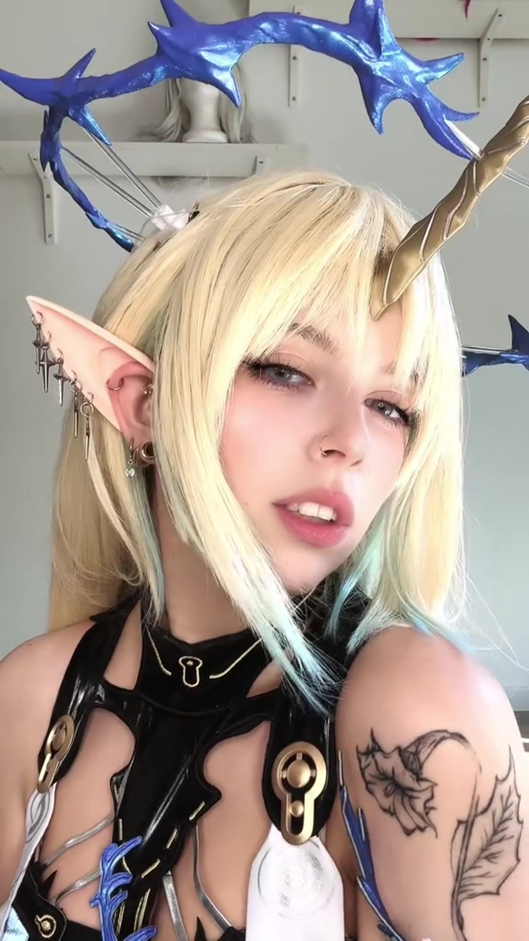 @Hydra🦊