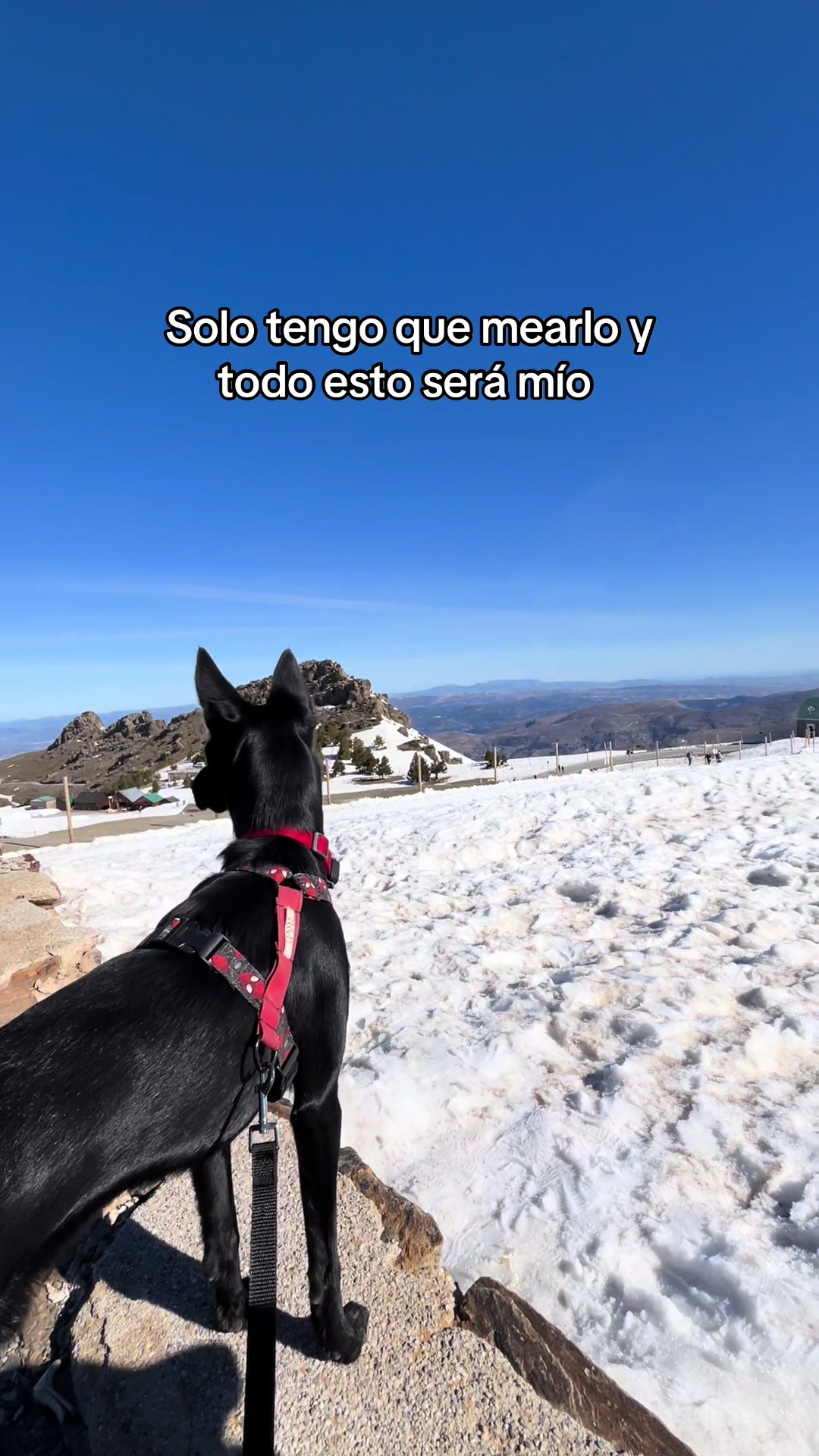 @Ares y Aura