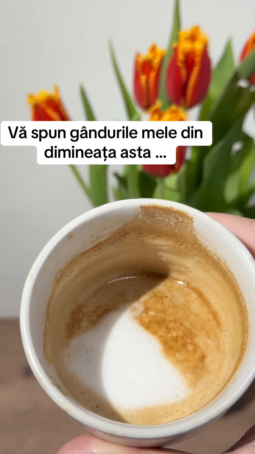 @Constantin Popescu✅