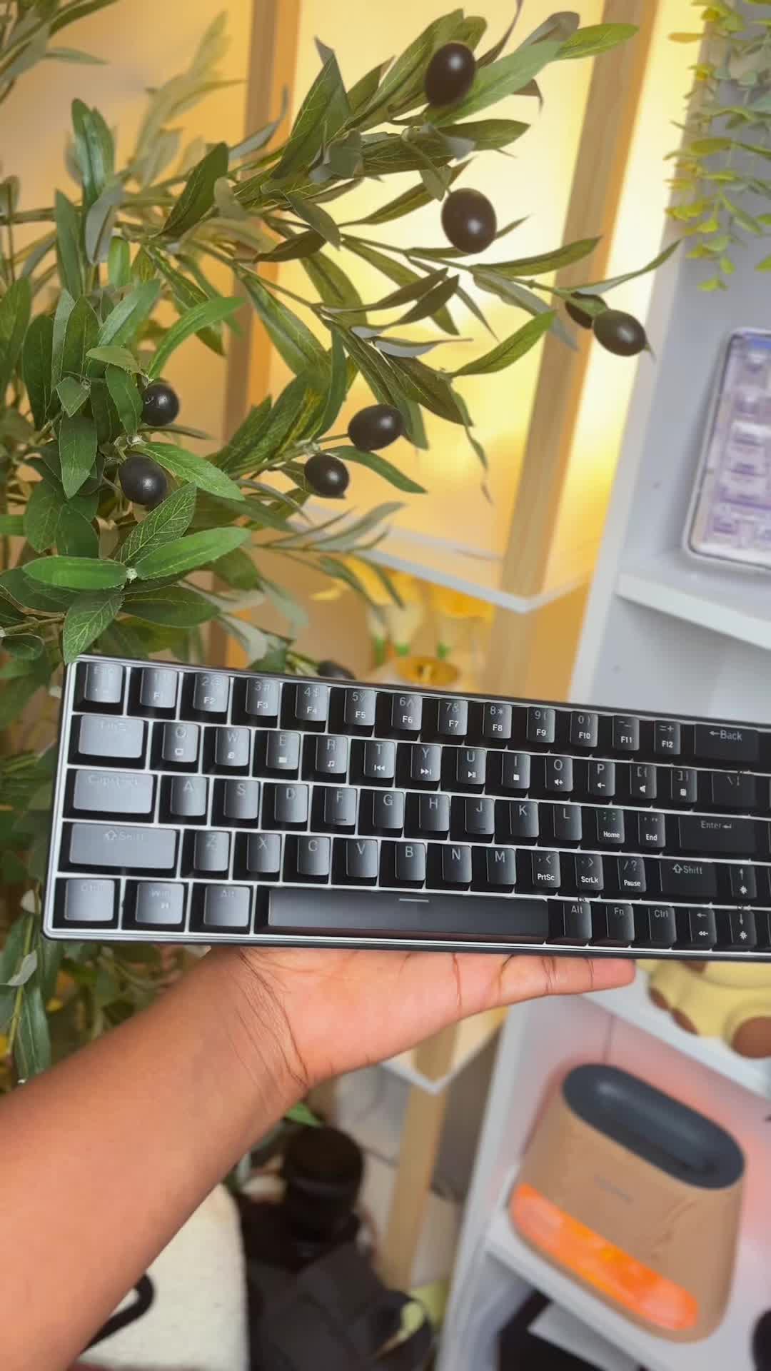 @ttshopfindsbydee