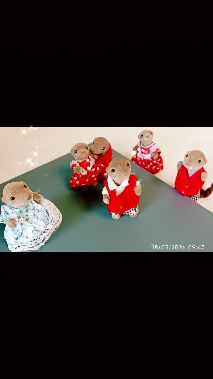 @Not-Just-Sylvanian-IOW ❤️