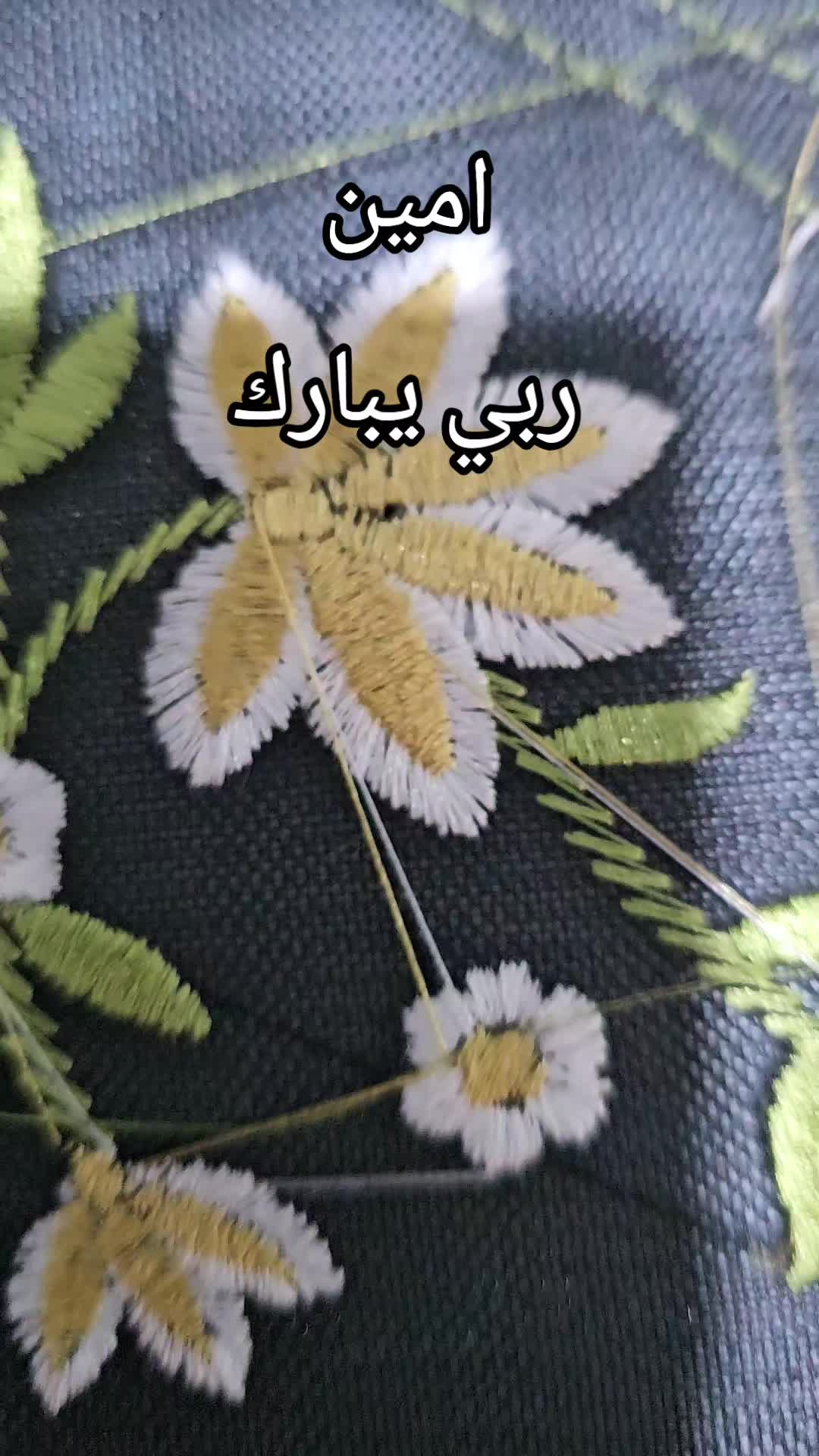 @🔱⚜️Sãlïm.Sålĩm🔱⚜️