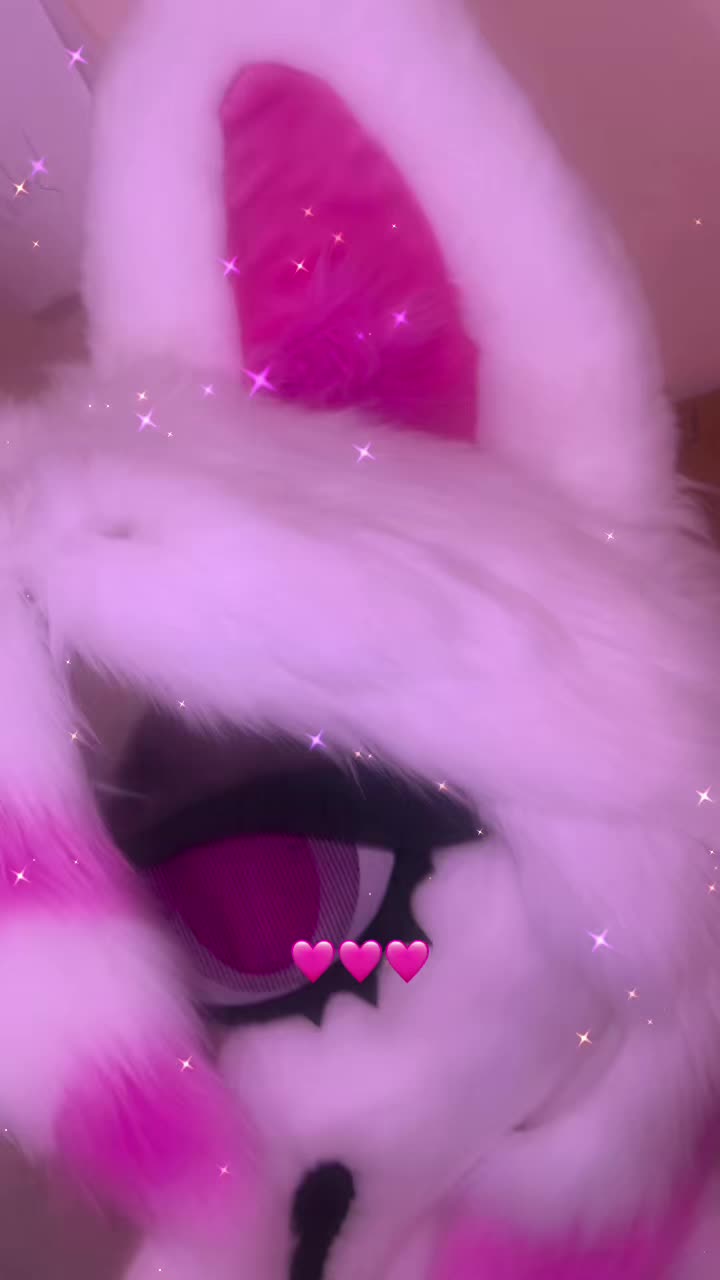 @crystallinek9