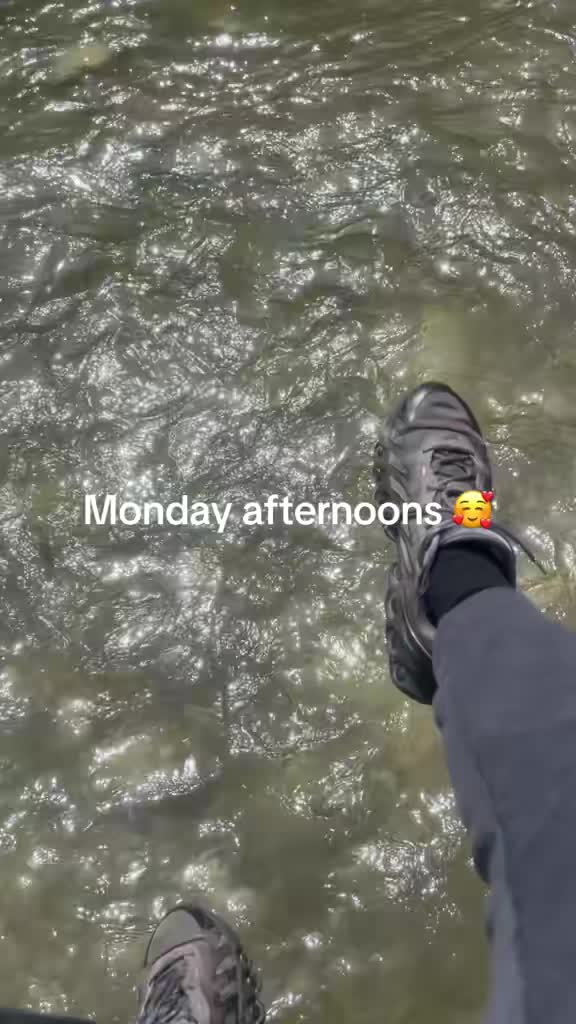 @🥇🏆Shane_travels8🥇🧳