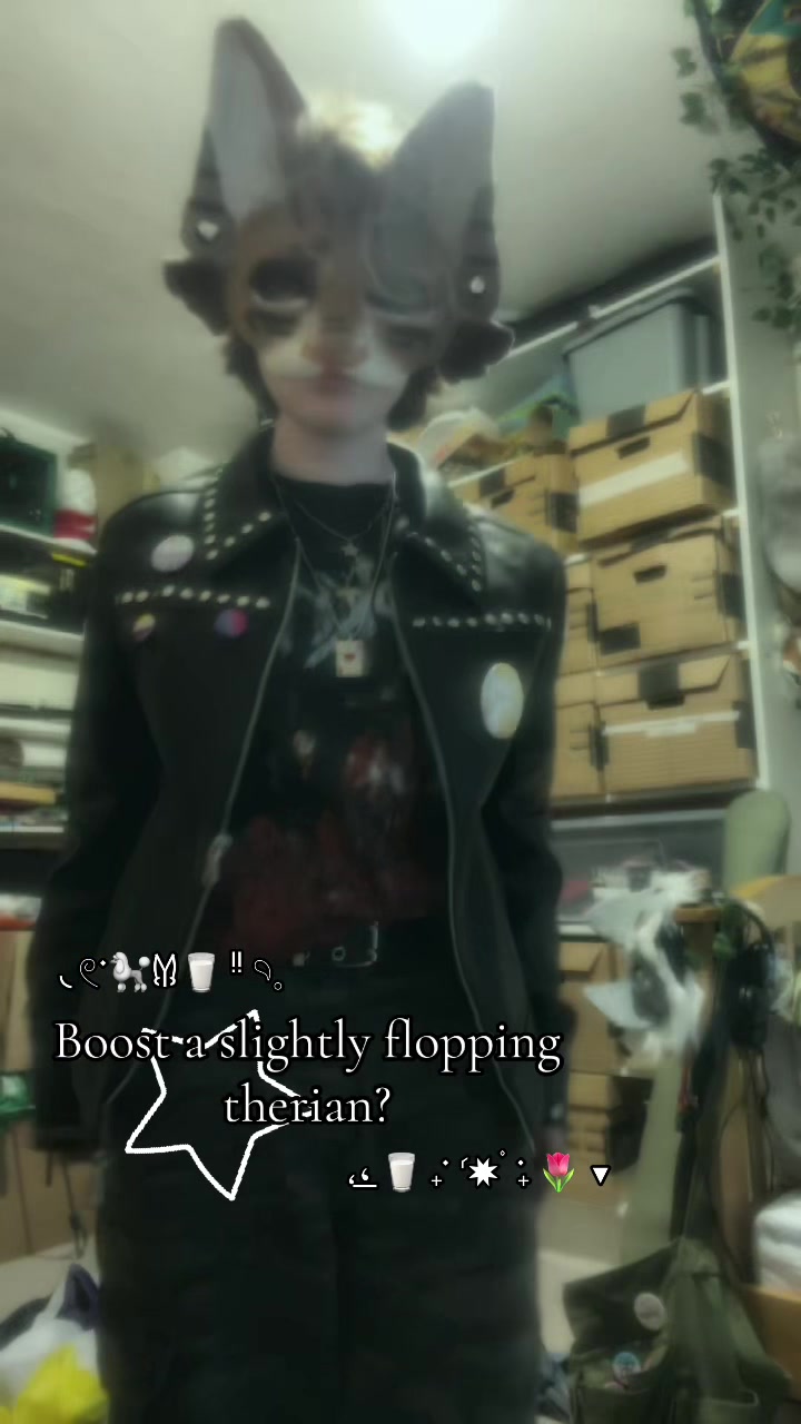@─˚⊹🌿﹕ 𝙾𝚛𝚌𝚑𝚒𝚍 ﹕˖˚