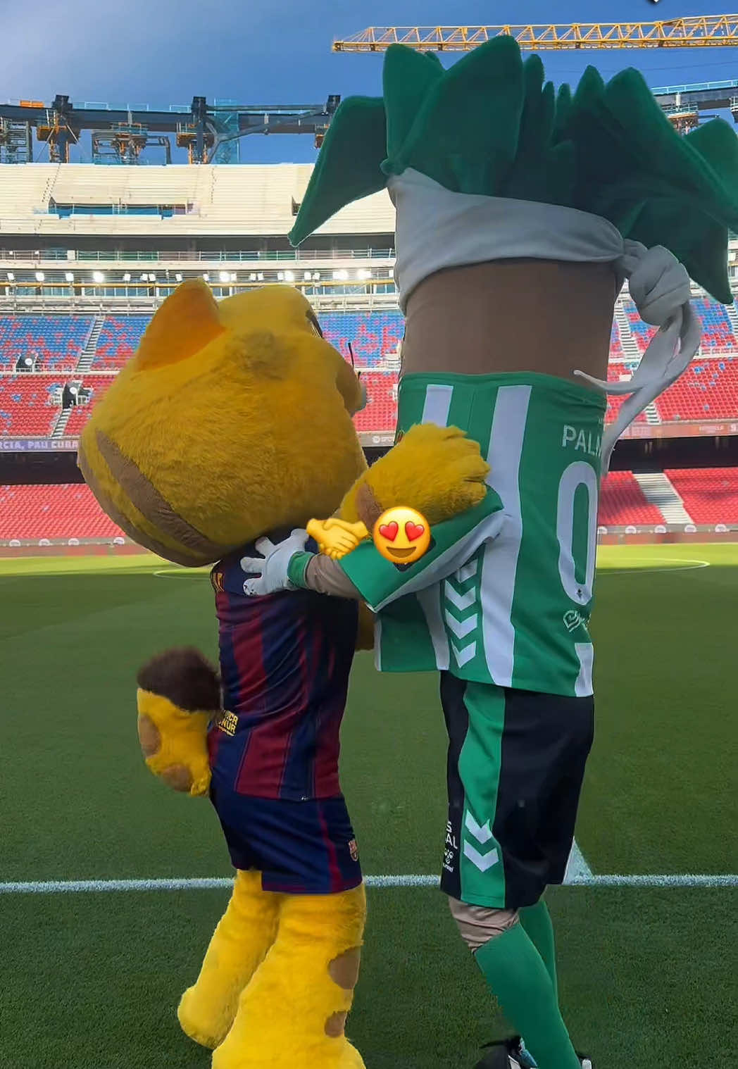 @Real Betis Balompié