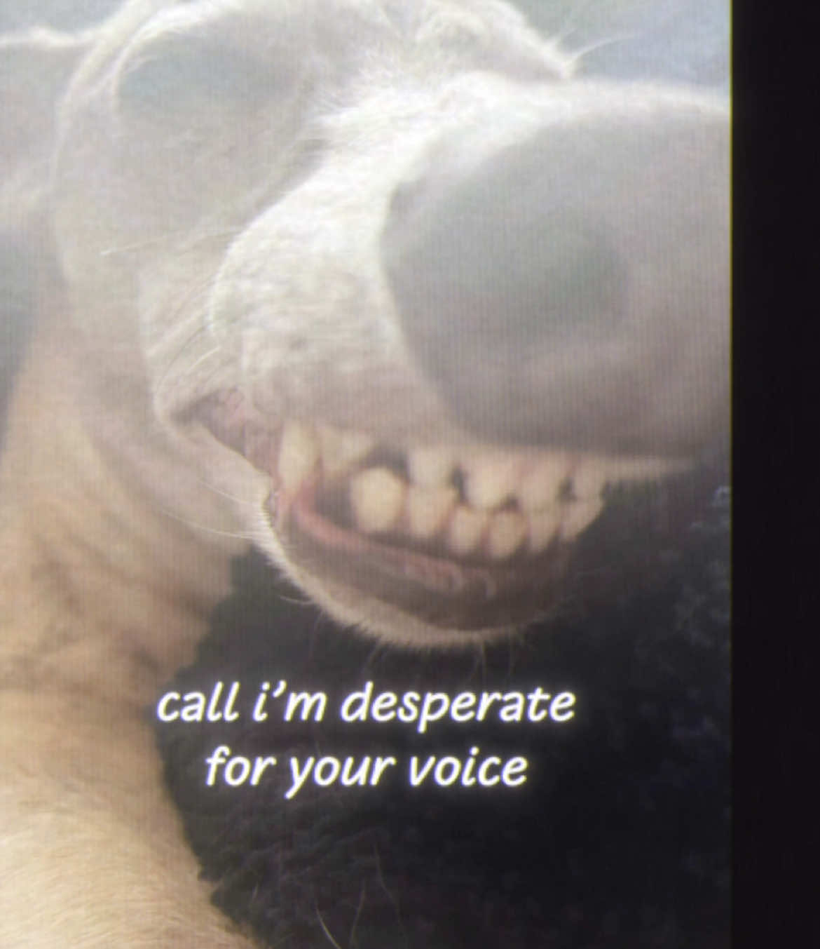@⋆˚꩜。
