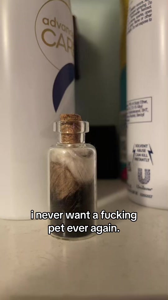 @jess ꨄ