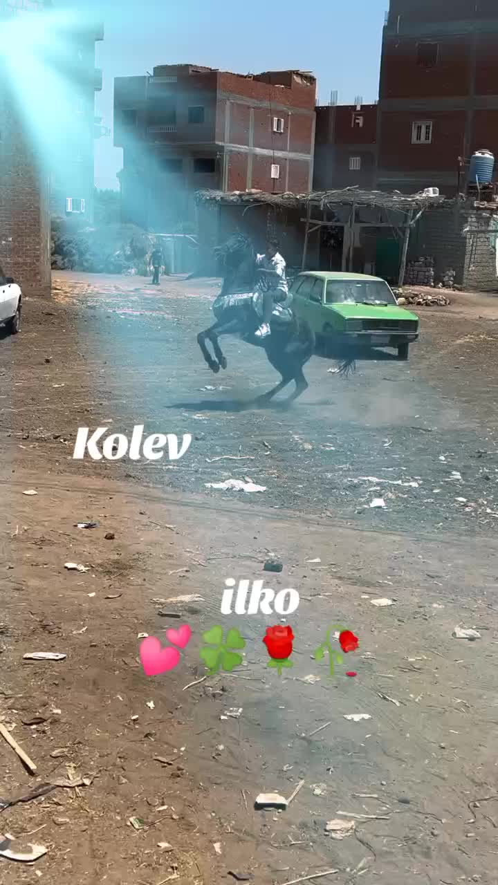 @ilkokolev401