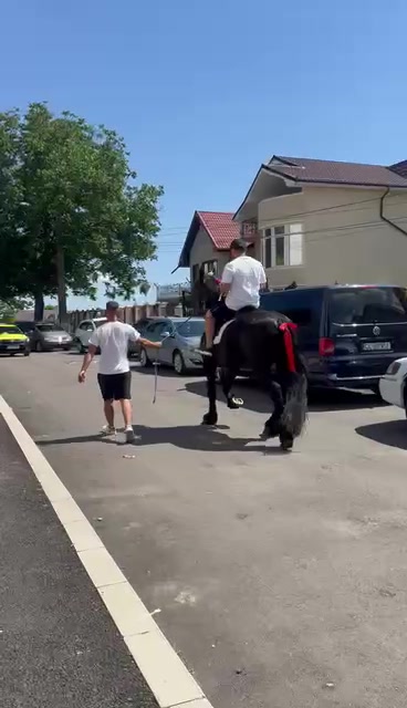 @Roberto Căruță