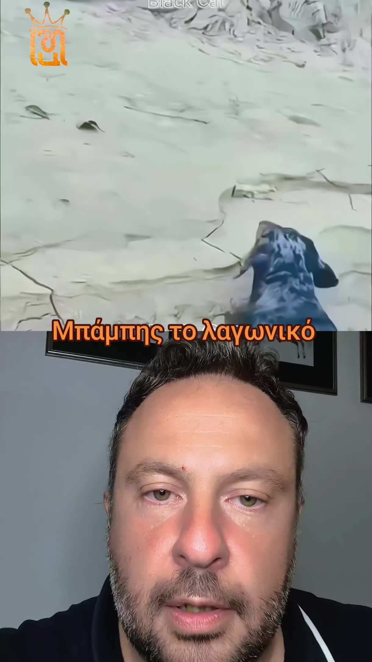 @hadjieleftheriadis