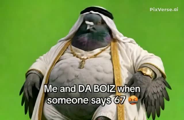 @pigeon gooner