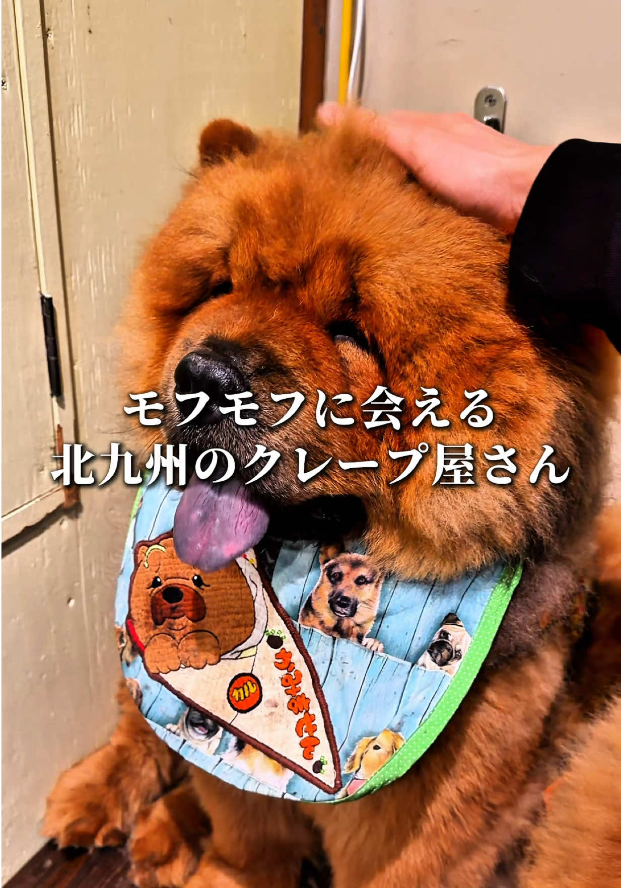 @甘党ライダーヒロキチ