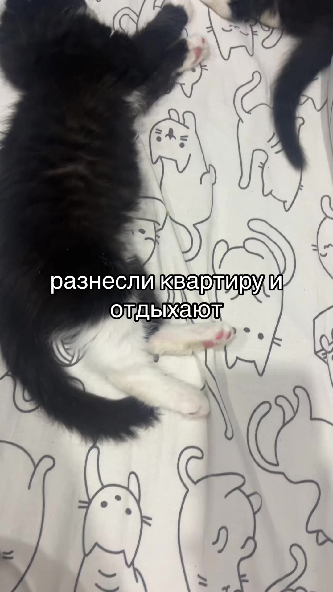 @Хаку 777