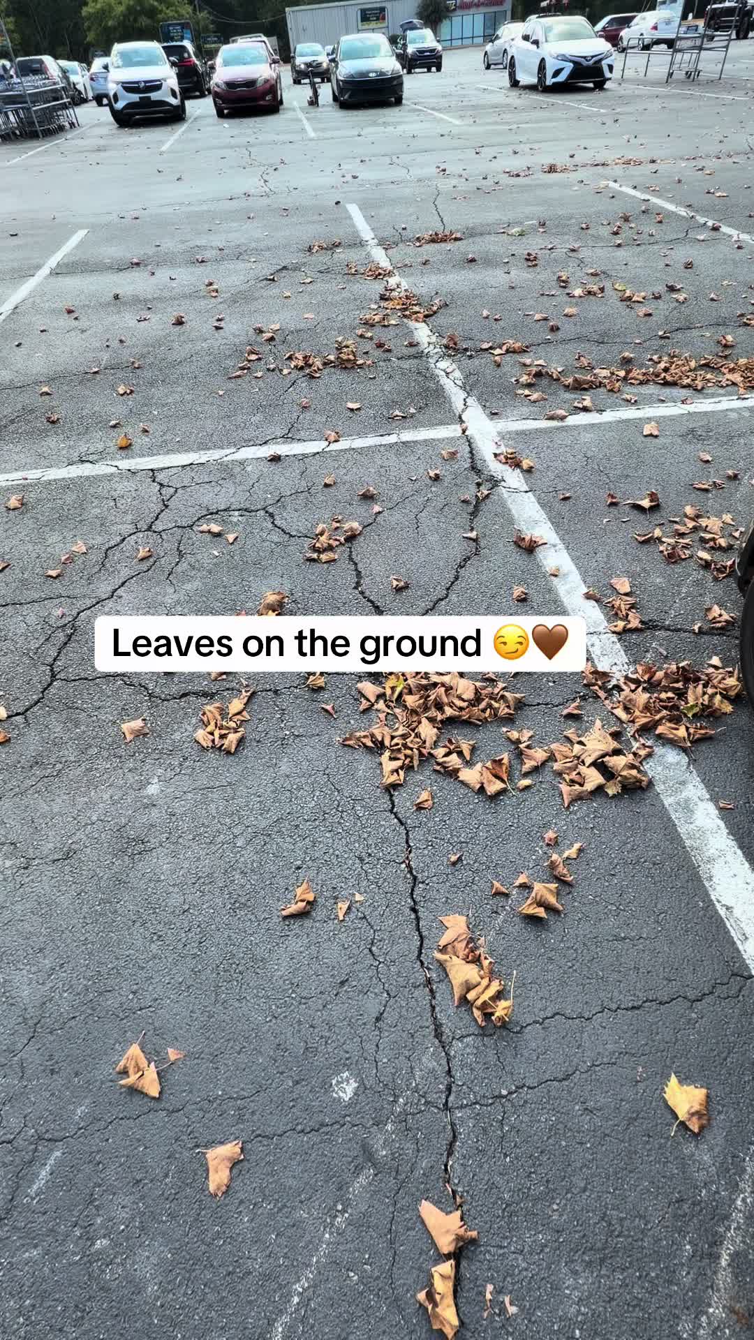 @ꪑꪖ᥅ﺃꪖ ❥