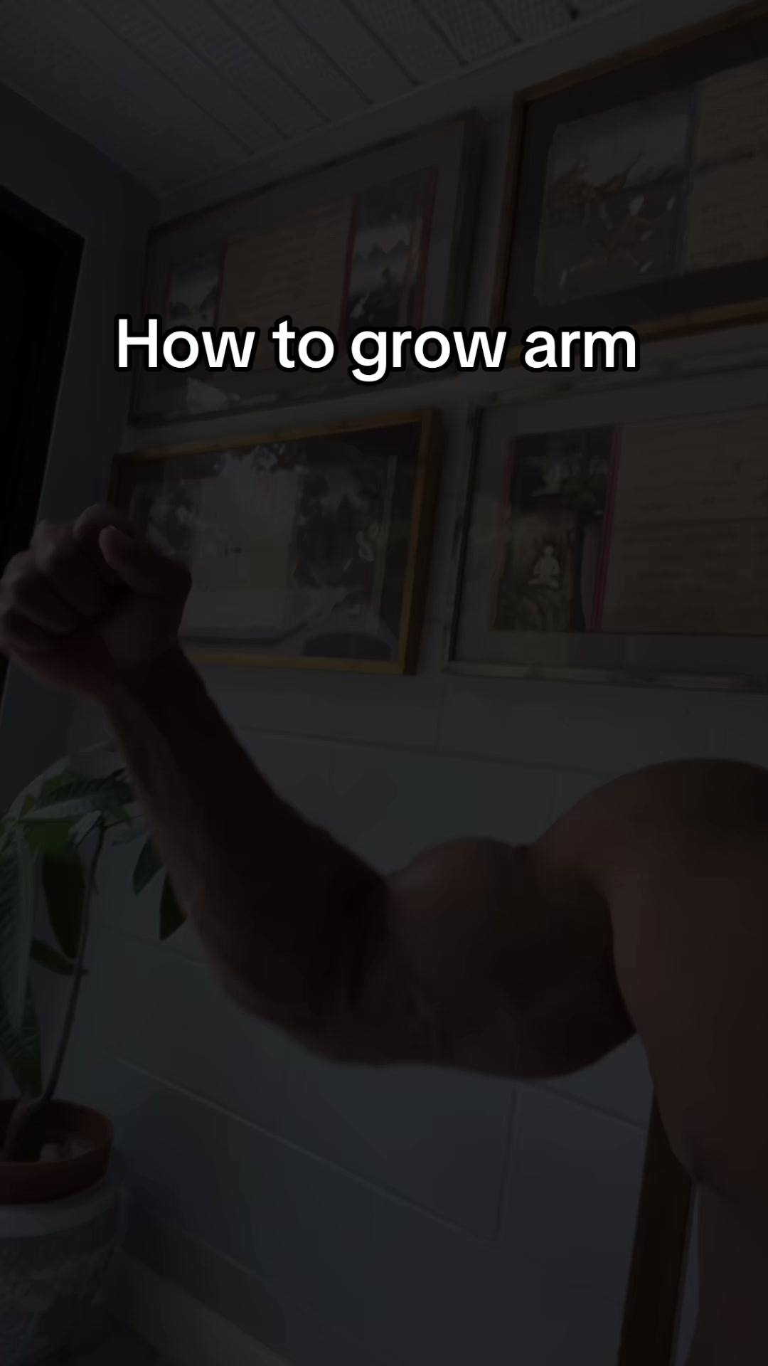 @Brando